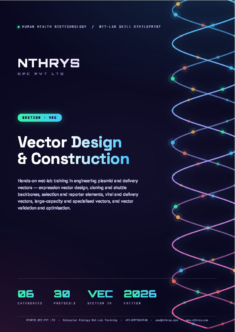 Vector Design and Construction
