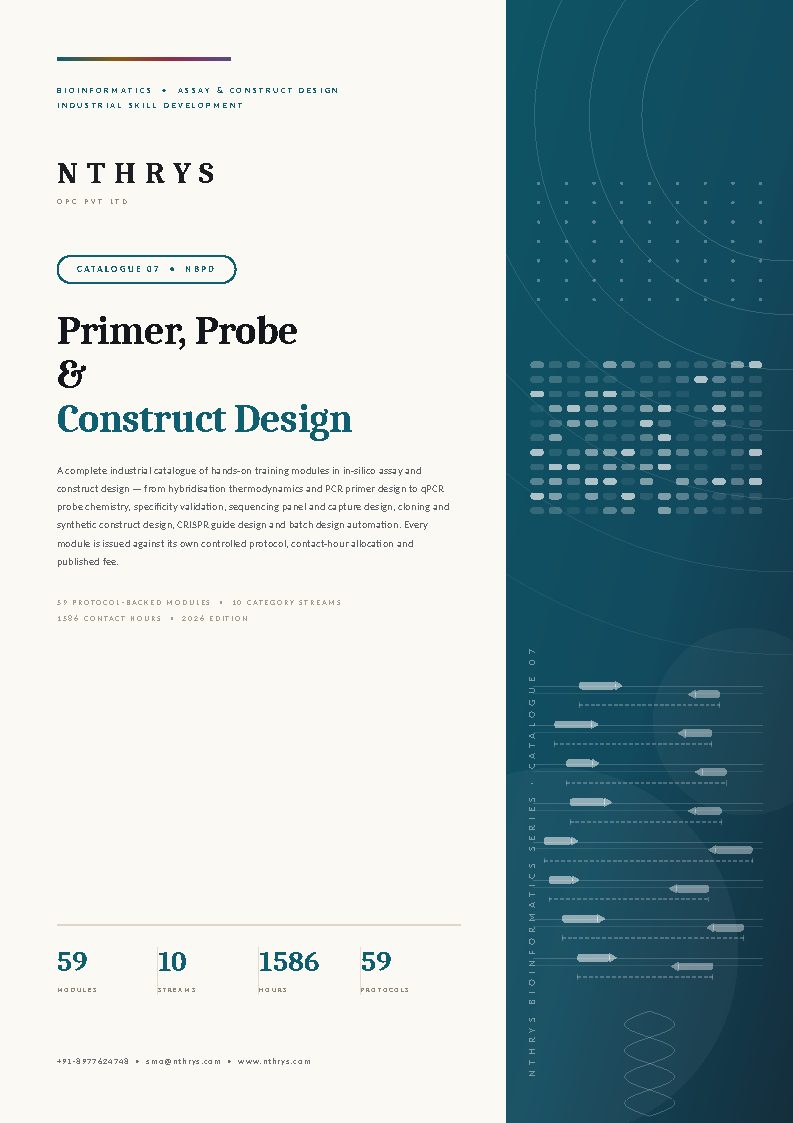 Primer, Probe and Construct Design