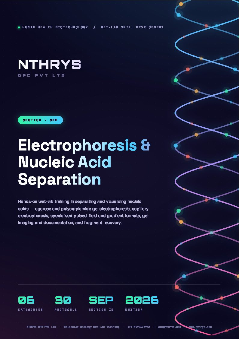 Electrophoresis and Nucleic Acid Separation