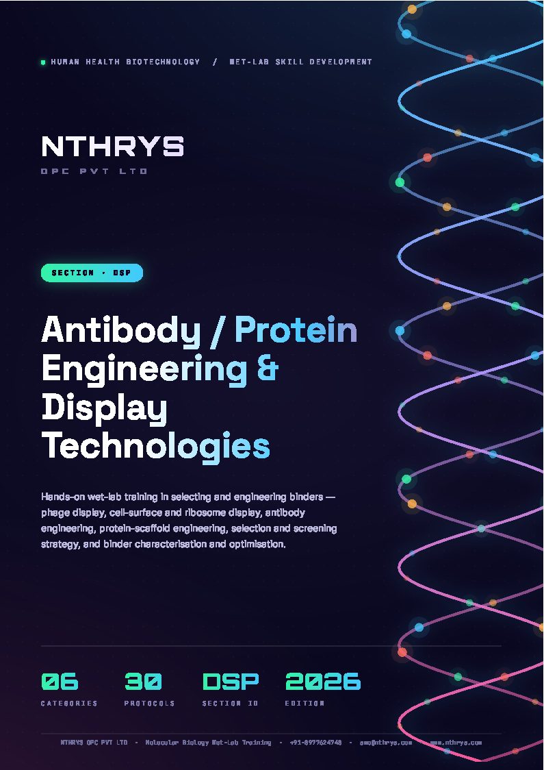 Antibody Protein Engineering and Display
