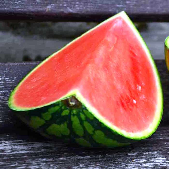 Watermelon Plant Probiotics