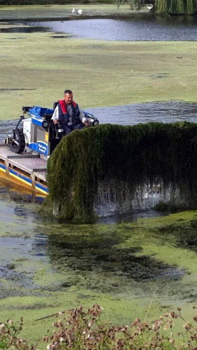 Aquatic Weed Control