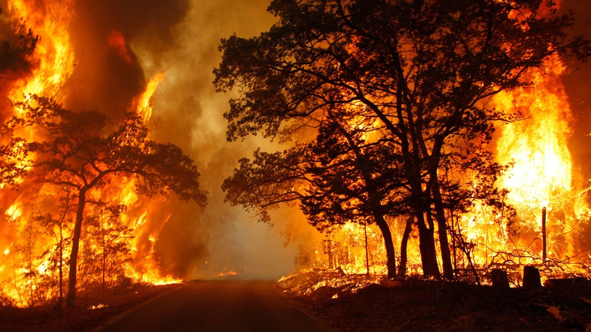 Wildfire Risk Assessment 